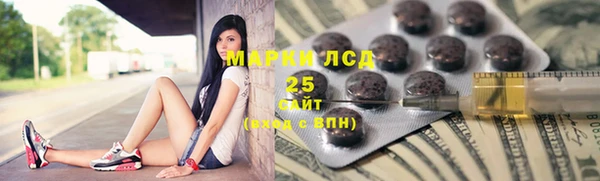 гидра Вяземский